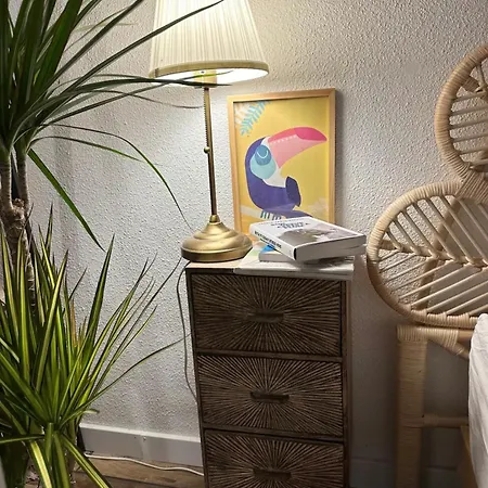 Apartment Joli T1 Bis 15 Min A Pied Du *